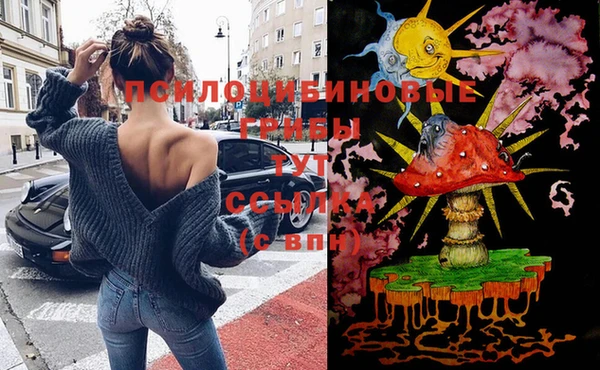 каннабис Аркадак