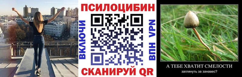 Псилоцибиновые грибы Magic Shrooms Великие Луки